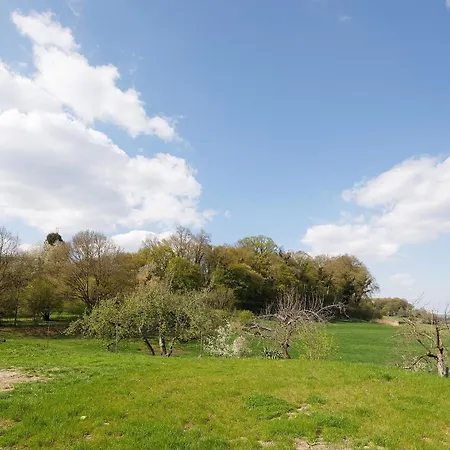 Waldblick Burtenbach